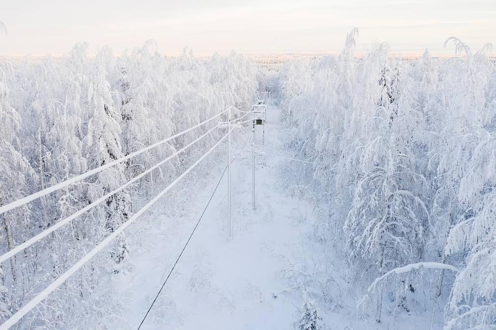 Perjantaina alkava lumisade lisaa puiden lumikuormaa, jolloin ne voivat taipua tai katketa sähkölinjan päälle. 