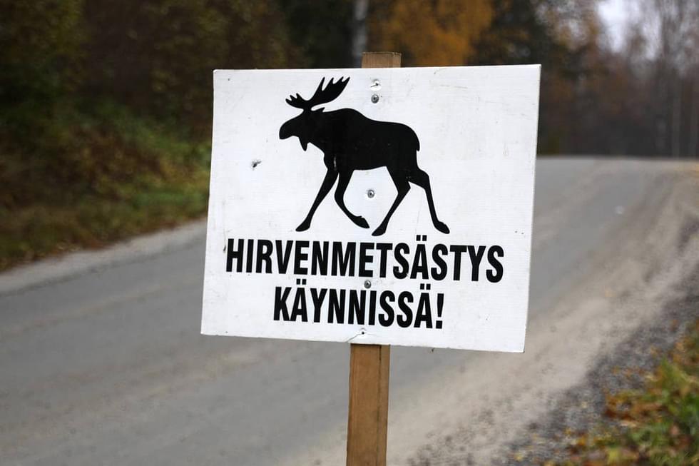Hirviä kaadettiin viime vuotta enemmän sekä Enossa että Joensuun alueella, johon Kontiolahti tilastoissa lasketaan.