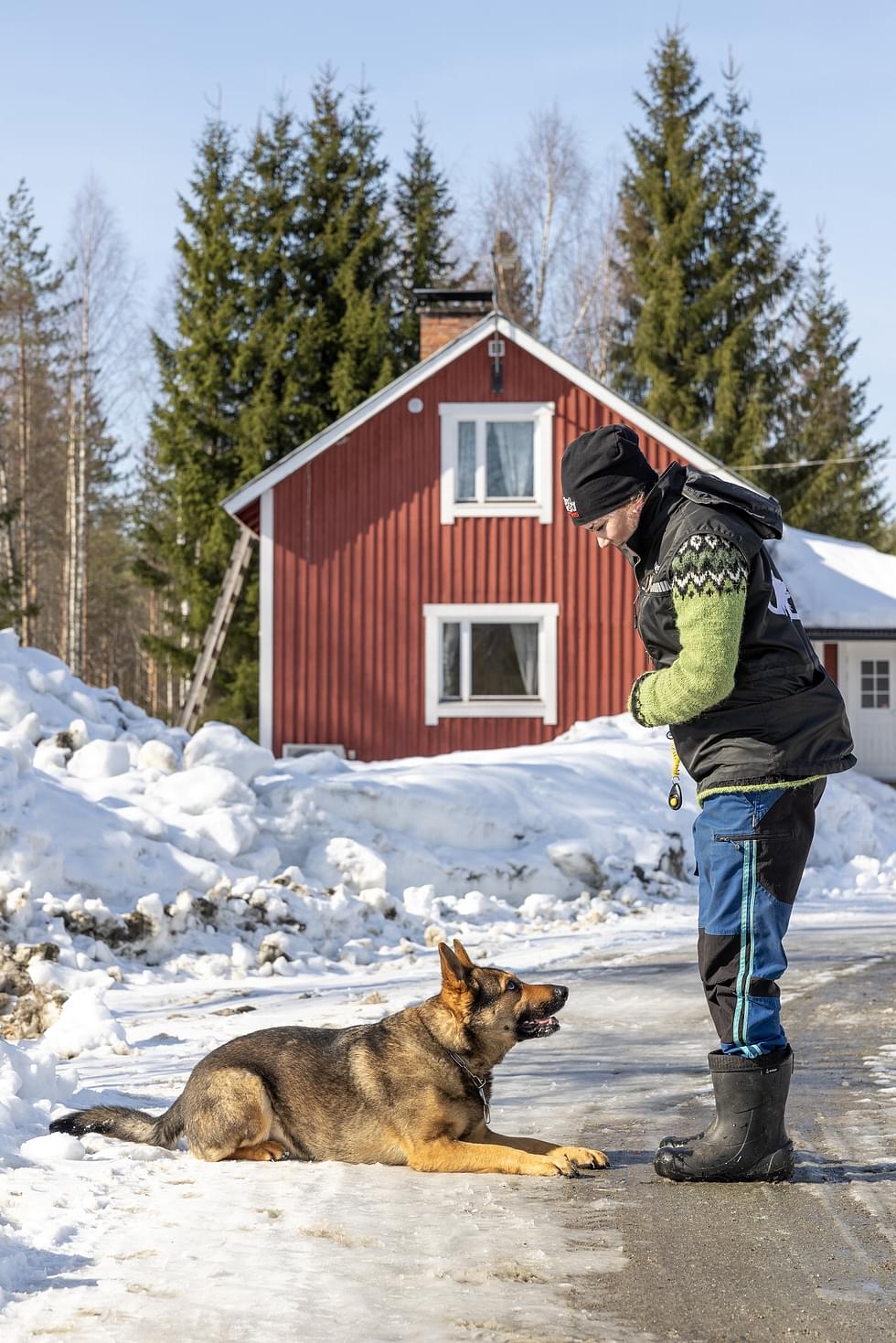 Ennen etsintää Johanna Ryynänen teettää koiralleen mentaaliharjoituksen, jossa se tiedostaa, että nyt aletaan etsiä avaimia. Harjoitteita tehdään ennen oikeaa etsintää.