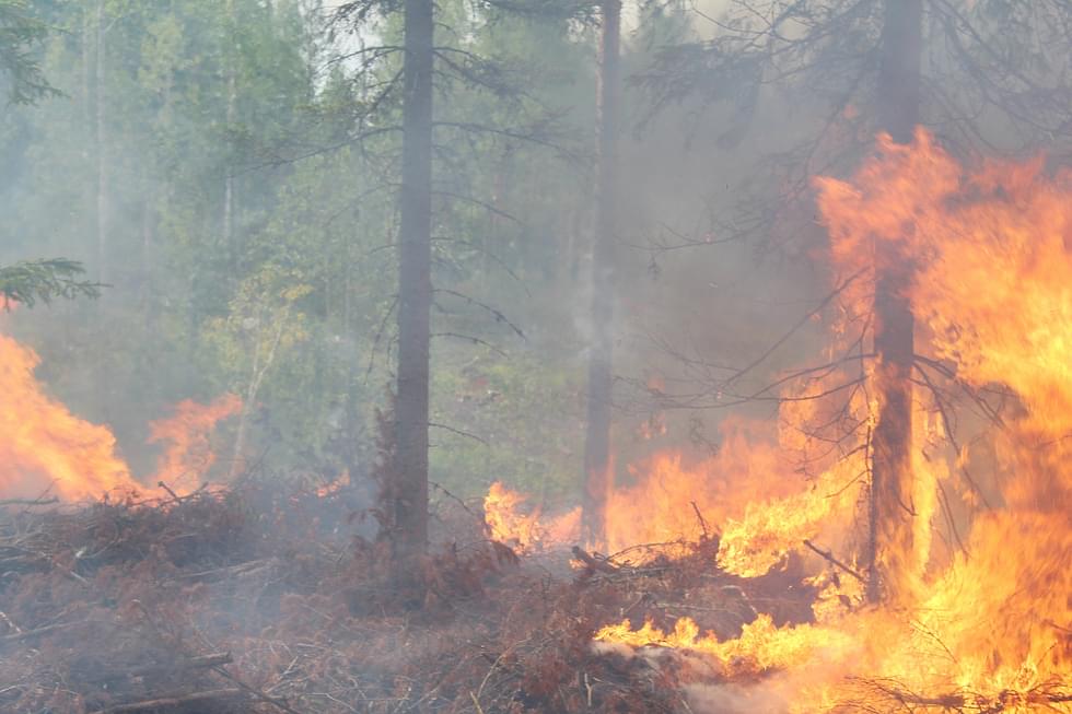 Keskimäärin paloja on maastopalokaudella Pohjois-Karjalassa ollut 72.