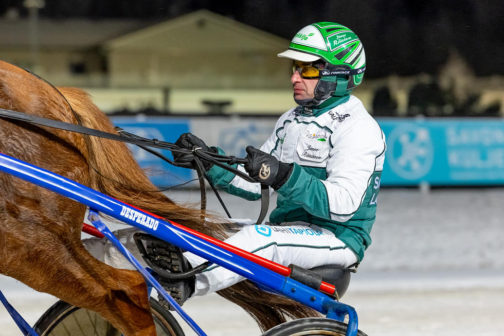 Ohjastaja Janne Räisänen kiritti Call It Teamin hevoset voittoon ja kakkoseksi. Kuva Joensuun raveista marraskuulta.