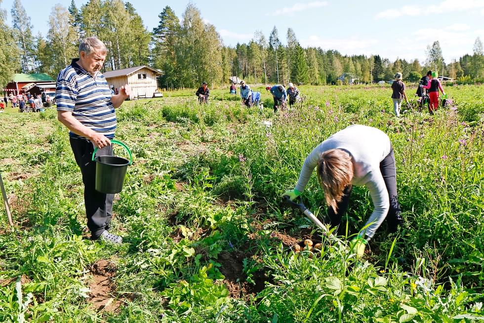 Pohjois-Karjalan maakuntapäivää vietetään elokuussa liikuntateemalla. Vuonna 2021 maakuntapäivää juhlistettiin muun muassa perunannostotalkoilla.