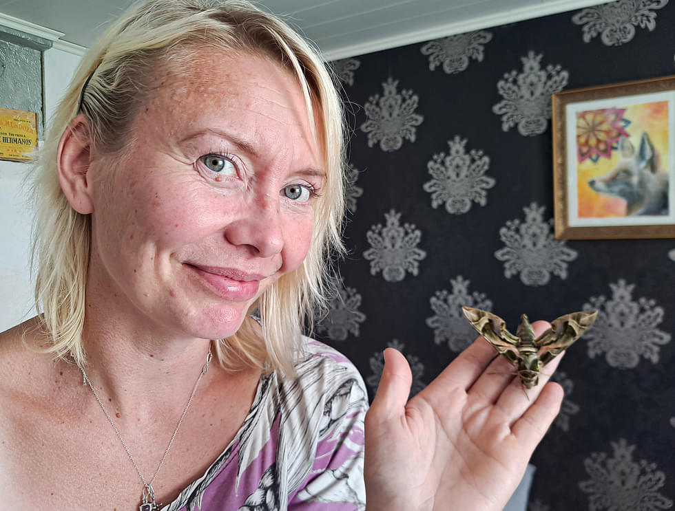 Katja Timonen löysi harvinaisen jättiläisperhosen tallin ikkunalta. Perhosasiantuntijoiden mukaan Valtimo on pohjoisin kolkka, josta oleanterikiitäjä on löytynyt.

