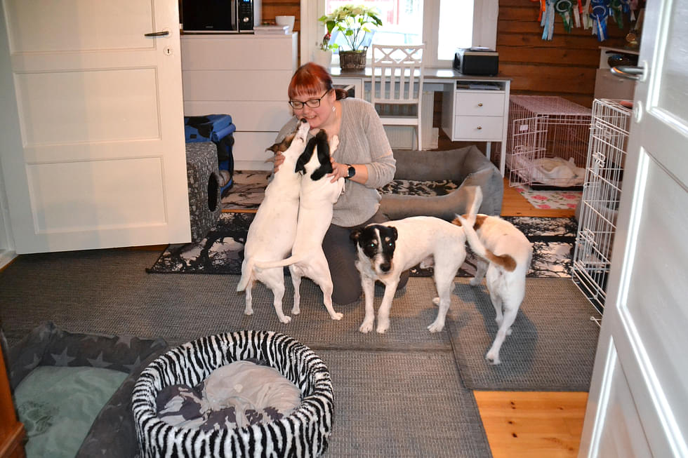 Sanna Uhlbäck koiriensa kanssa.