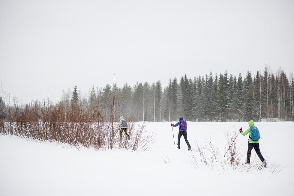 Majatalosta majataloon -hiihtovaellusten ensimmäiset ryhmät saapuivat Nurmekseen helmikuun alussa.