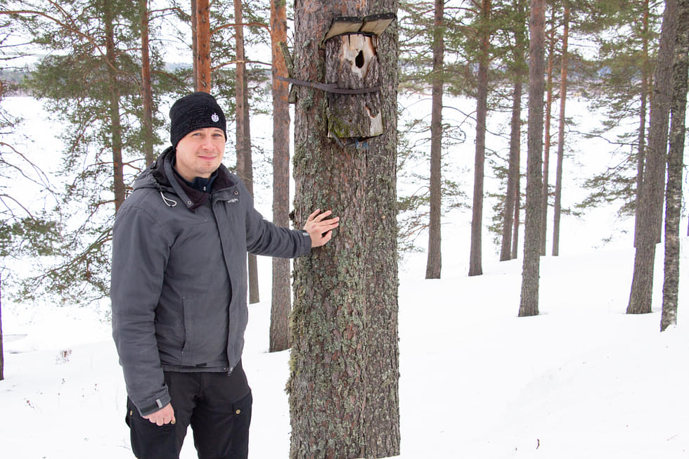 Metsänhoitoyhdistyksen Panu Kukkonen arvioi, etteivät metsänomistajat aina tunnista omissa metsissään ympäristötukeen kelvollisia luontokohteita ja arvokkaita elinympäristöjä.